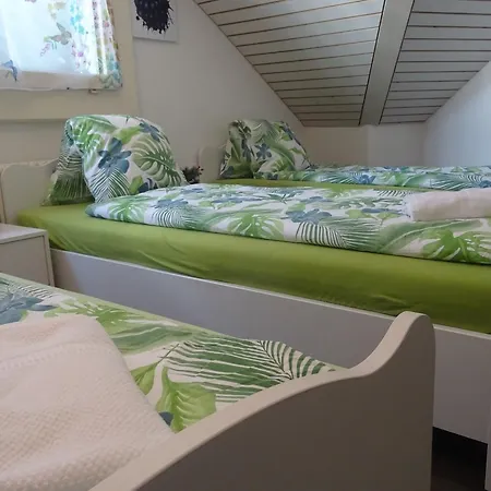 Apartment Sahhy Interlaken